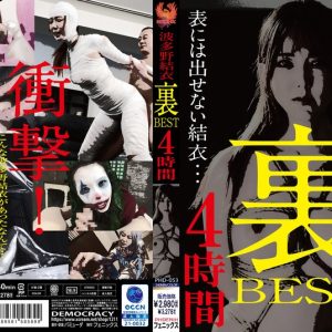 波多野結衣 裏BEST 4時間