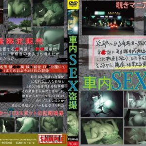 車内SEX盗撮