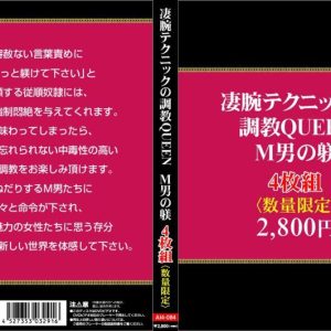 凄腕テクニックの調教QUEEN。M男の躾4枚組　Disc４