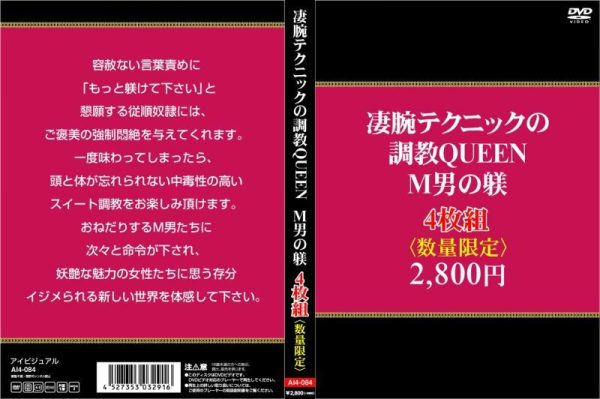 凄腕テクニックの調教QUEEN。M男の躾4枚組　Disc４