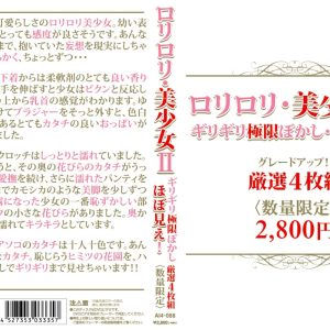 ロリロリ・美少女ギリギリ極限ぼかし ほぼ見え!4枚組 Disc3
