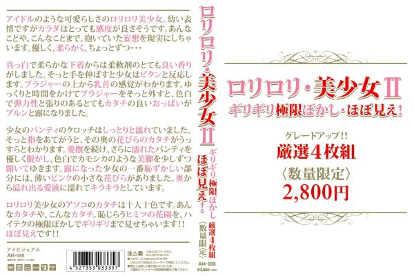 ロリロリ・美少女ギリギリ極限ぼかし ほぼ見え！4枚組　Disc４
