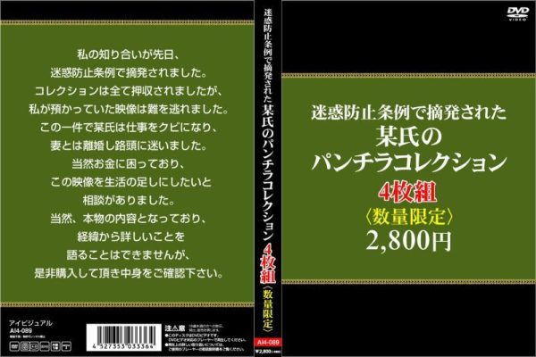迷惑防止条例で摘発された某氏のパンチラコレクション4枚組　Disc４