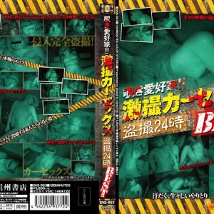 覗き愛好家!!激撮カーセックス盗撮24時 BEST
