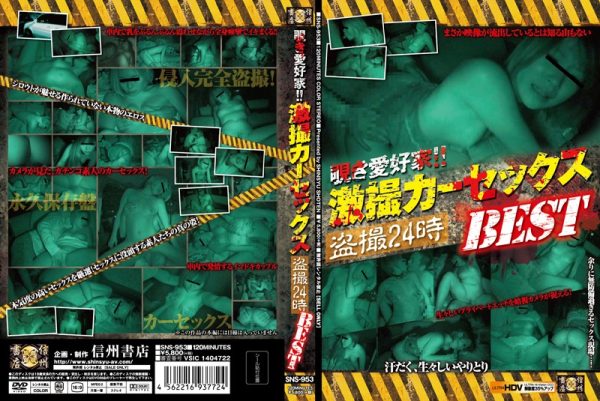覗き愛好家！！激撮カーセックス盗撮24時 BEST