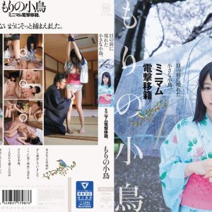 目の前に現れた小さな小鳥。ミニマム電撃移籍。 もりの小鳥