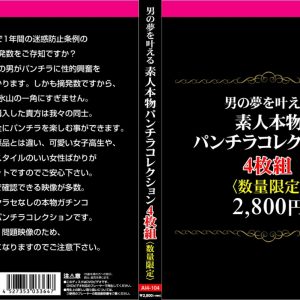 男の夢を叶える素人本物パンチラコレクション4枚組