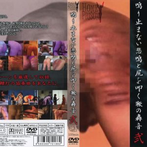 鳴り止まない悲鳴と尻を叩く鞭の轟音 2