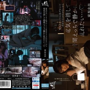 電気が点いてると恥ずかしくて自分をさらけ出せないから電気を消して暗闇えっちで静かに乱れたい… 南梨央奈