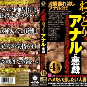 人妻のねっとりアナルに悪戯 浣腸垂れ流しアナル汁！2穴ファックに悶え狂う美熟女4時間