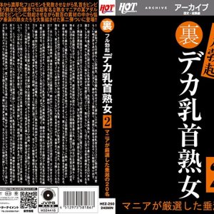 裏フル勃起デカ乳首熟女2 マニアが厳選した垂涎の20名