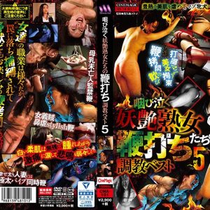 咽び泣く妖艶熟女たちの鞭打ち調教ベスト5