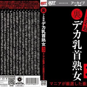 裏フル勃起デカ乳首熟女3 マニアが厳選した垂涎の20名