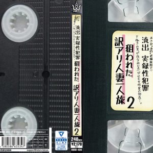 まさか〝あの〟老舗旅館で！？流出　実録性犯罪　下働きの男が夜な夜な忍び込む女性客の部屋・・・。狙われた訳アリ人妻一人旅2
