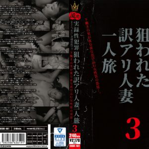 まさか〝あの〟老舗旅館で!?流出 実録性犯罪 下働きの男が夜な夜な忍び込む女性客の部屋・・・。狙われた訳アリ人妻一人旅3