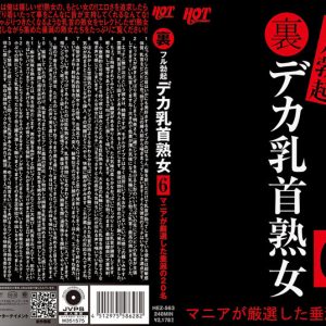 裏フル勃起デカ乳首熟女6 マニアが厳選した垂涎の20名