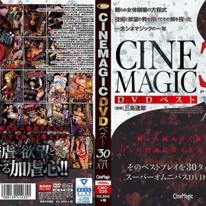Cinemagic DVDベスト30 PartXIV