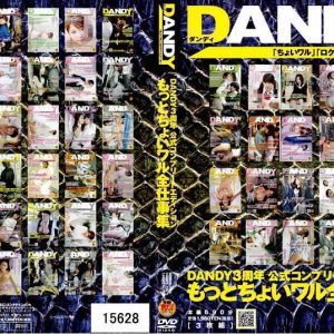 DANDY3周年 公式コンプリートエディション ちょいワル全仕事集