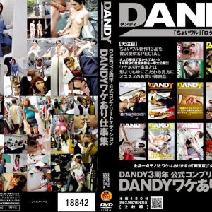 DANDY3周年 公式コンプリートエディション DANDYワケあり仕事集