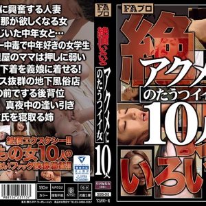 絶頂いろいろ アクメにのたうつイイ女10人