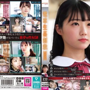 電車生姦制裁 ＃004